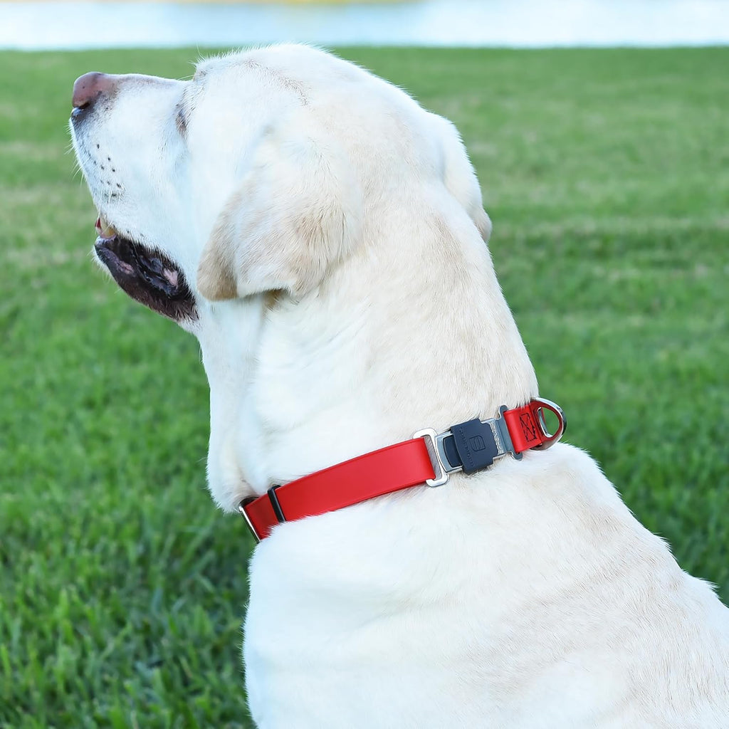 Dogline Biothane Waterproof Dog Collar with Herm Sprenger Stainless Steel Quick Release Buckle – Heavy Duty Tactical Durable Collar for Dogs – Comfortable and Safe Pet Collar, W 3/4" L 12-19", Red