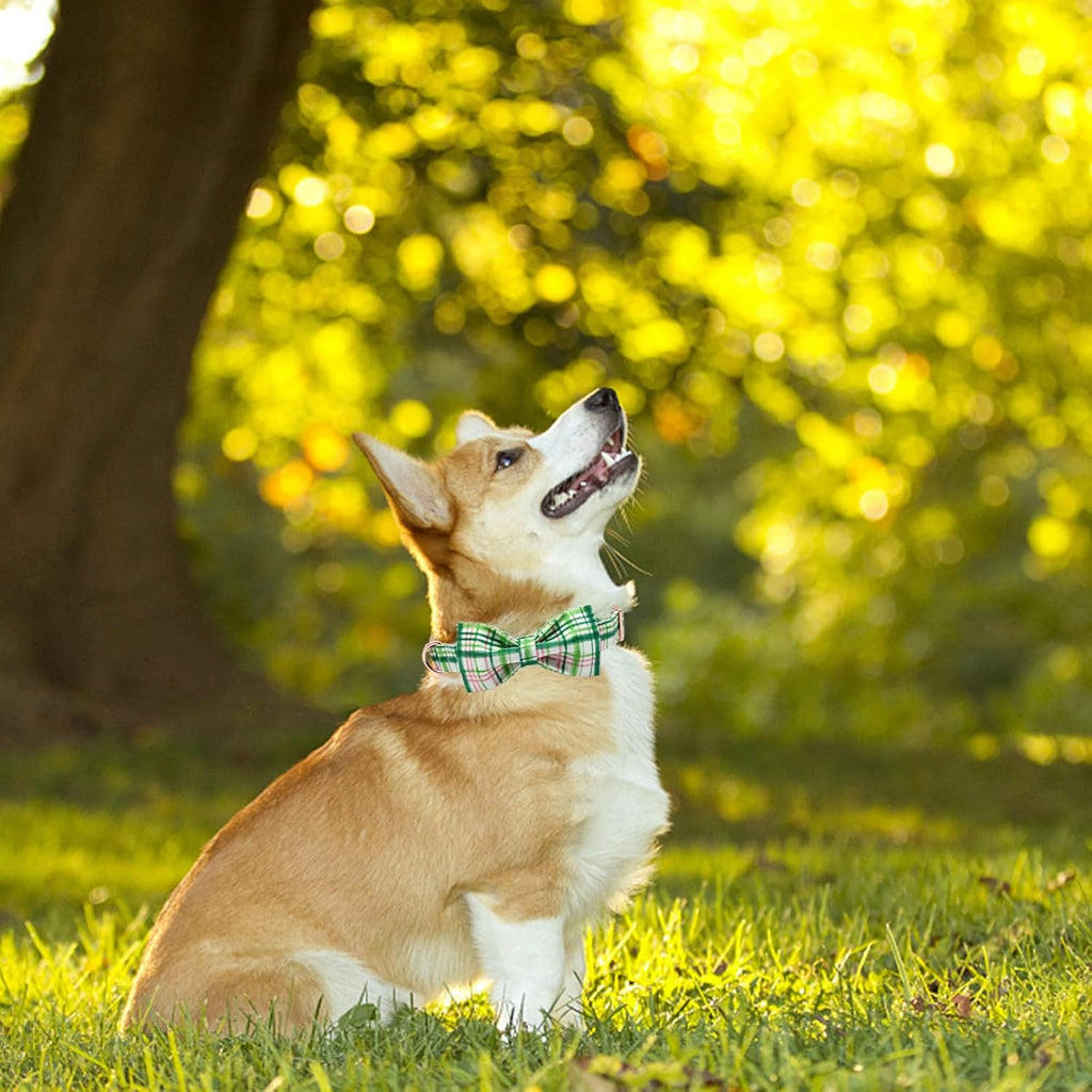 Elegant little tail Dog Collar with Bow - Pink with Green Plaid Boy or Girl Dog Collar Cute Bowtie Pet Collar Adjustable Dog Collar for Small Puppy