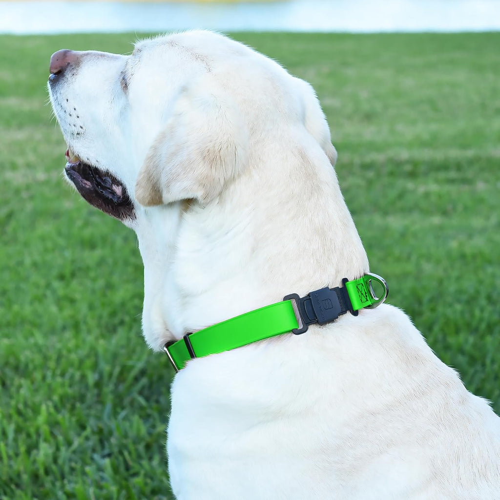 Dogline Biothane Waterproof Dog Collar with Herm Sprenger Stainless Steel Quick Release Buckle – Heavy Duty Tactical Durable Collar for Dogs – Comfortable and Safe Pet Collar, W 1" L 15-25", Green