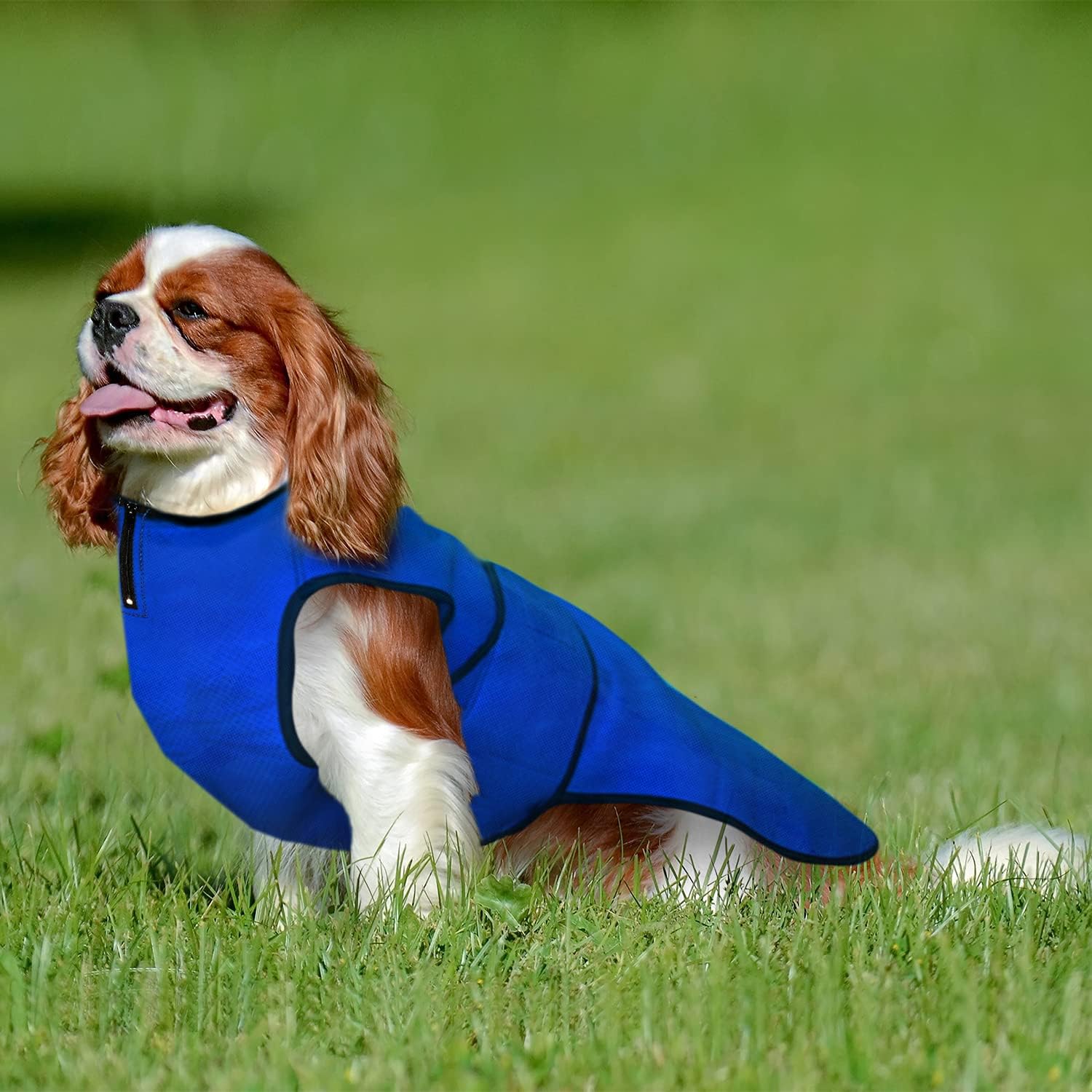 Dog Cooling Vest – Lightweight Summer Jacket for Dogs with Zip Neck & Velcro – Easy On/Off Cooling Coat for Walks, Travel & Outdoors