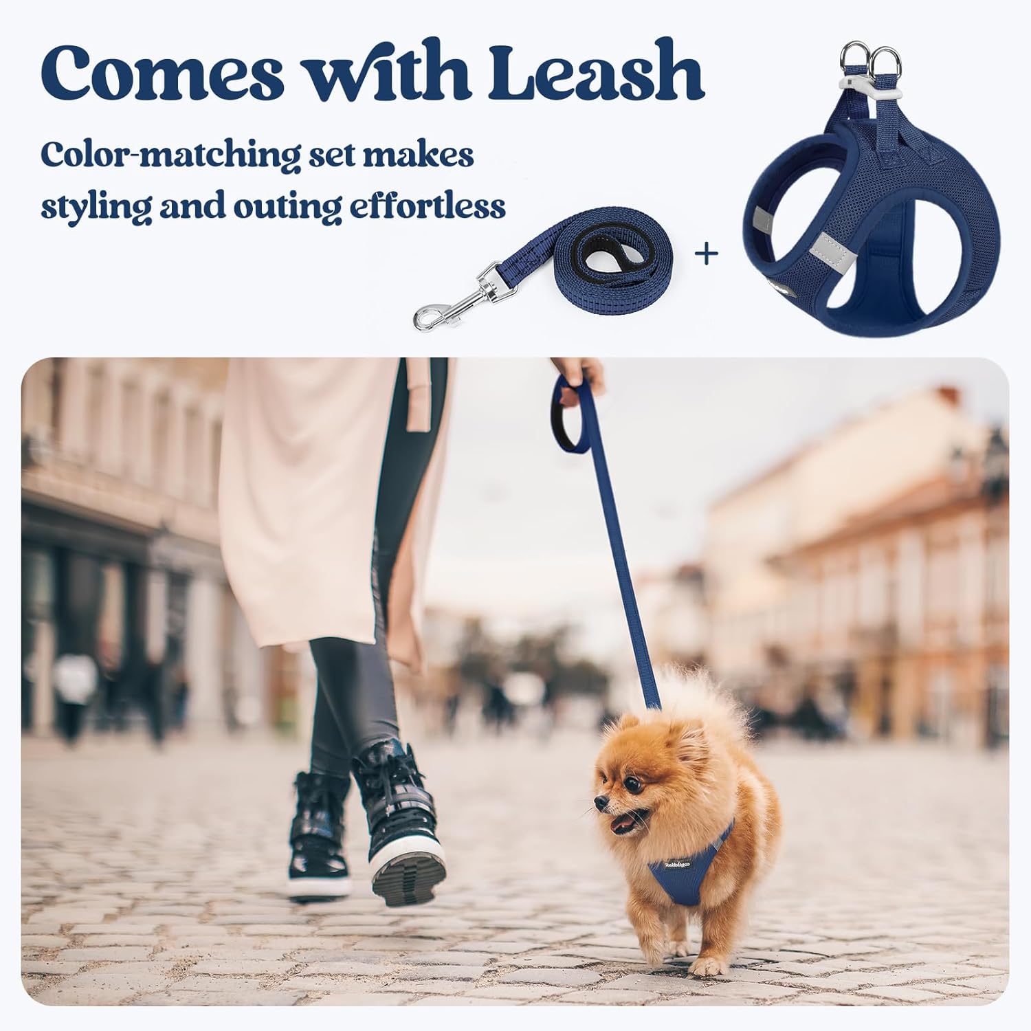 rabbitgoo Dog Harness Small Medium Sized and Leash Set, Step in Soft Light Puppy Vest, Breathable Mesh Pet Harness, Reflective for Safe Outdoor Walking, Navy Blue L