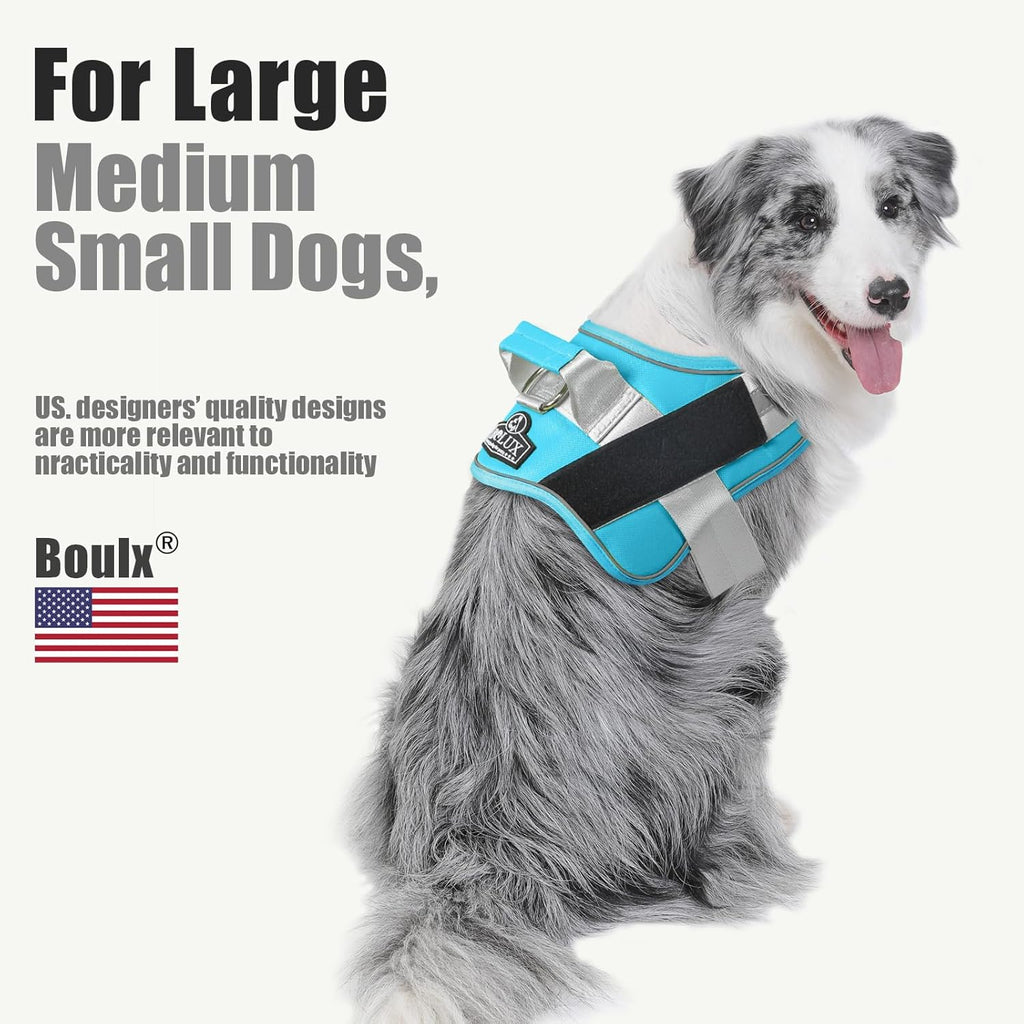 Bolux Dog Harness, No-Pull Reflective Dog Vest, Breathable Adjustable Pet Harness with Handle for Outdoor Walking - No More Pulling, Tugging or Choking (OceanicBlue, X-Large (Pack of 1))