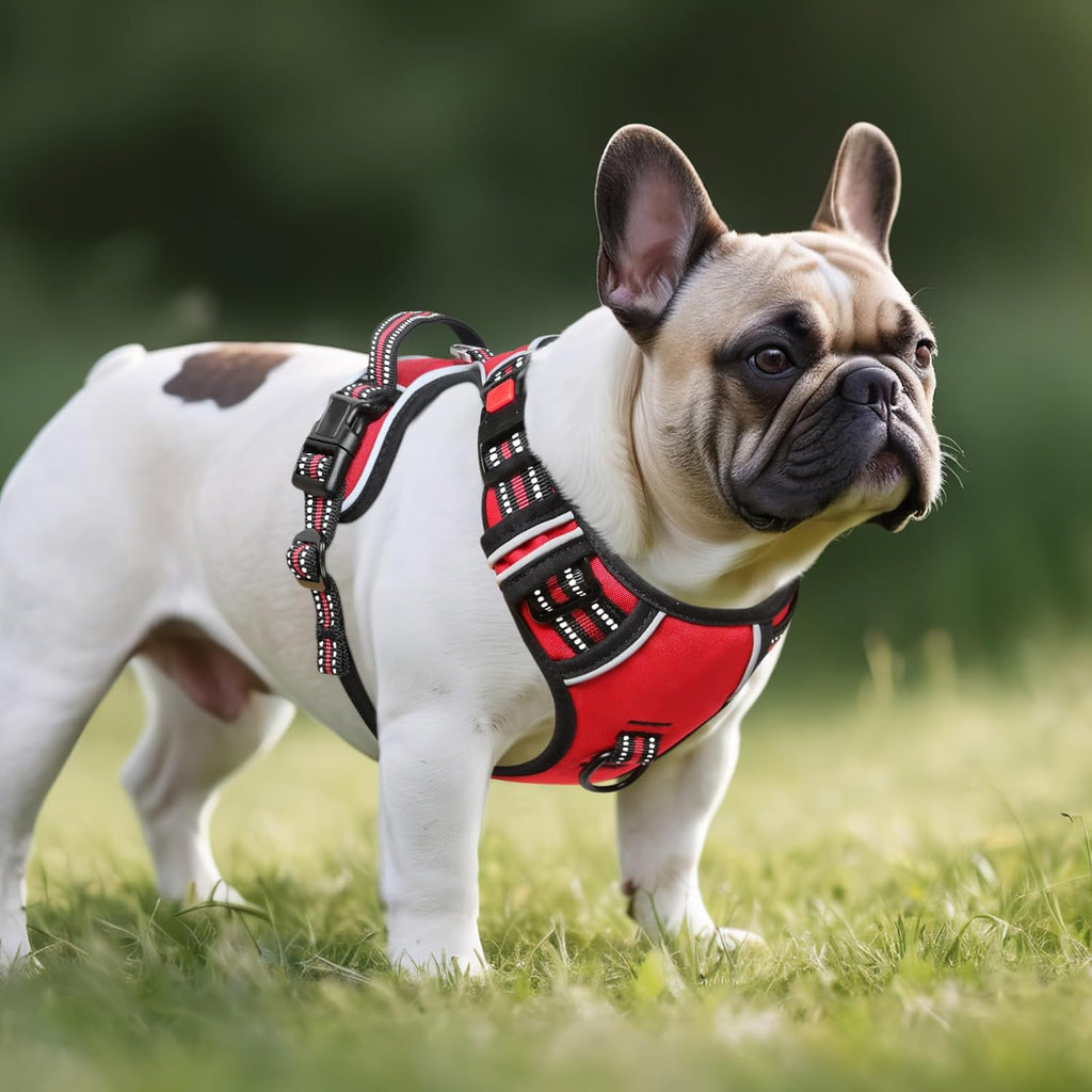 Timos Dog Harness Small Sized, No Pull with Neck Lockable Snap,No Choke Front Clip Dog Reflective Harness,Adjustable Metal Rings 3 Buckles,Easy Control Handle for Small Dogs Red S