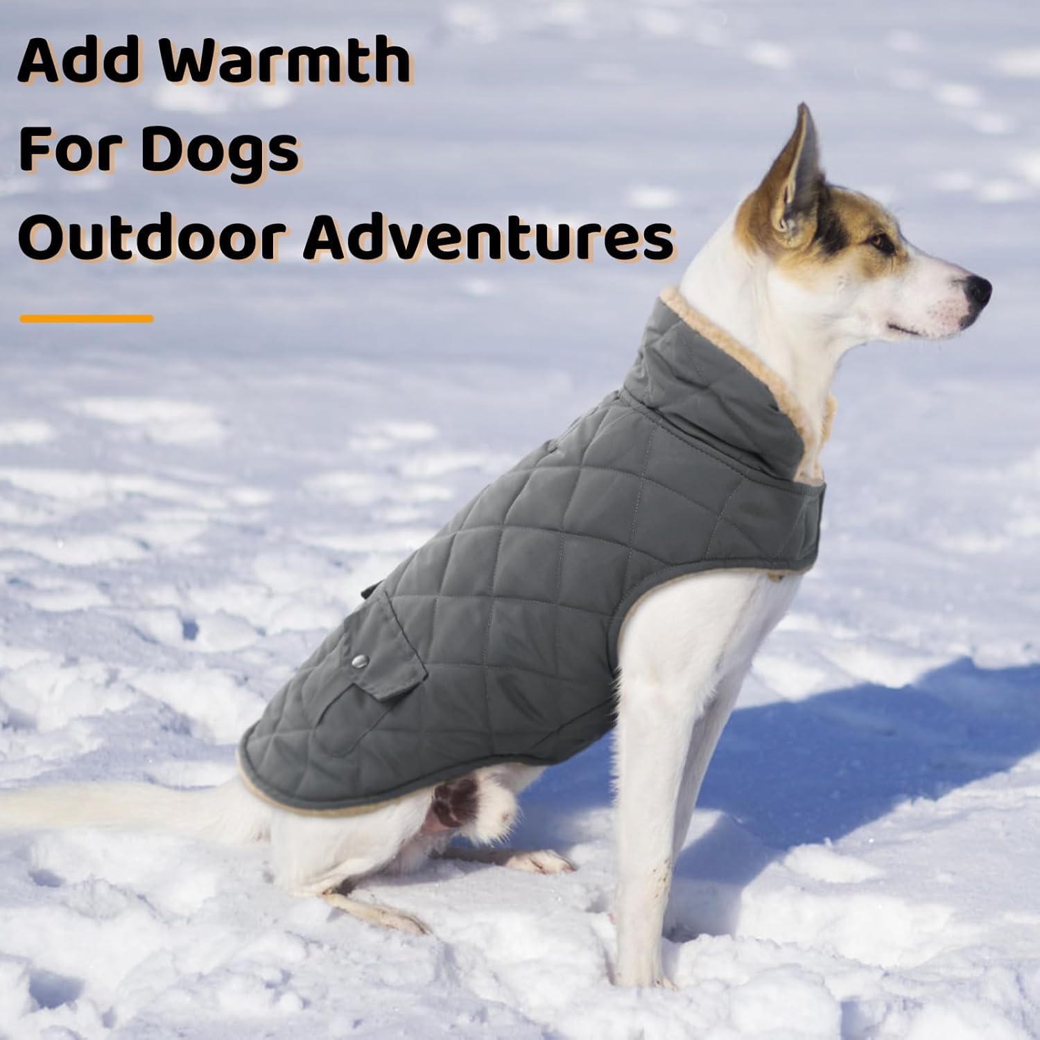 Queenmore Dog Winter Coat - Fleece Jacket, Waterproof Cold Weather Clothes, Thick Warm Cotton Padding, Easy On Storage Pockets (Grey, X-Large)