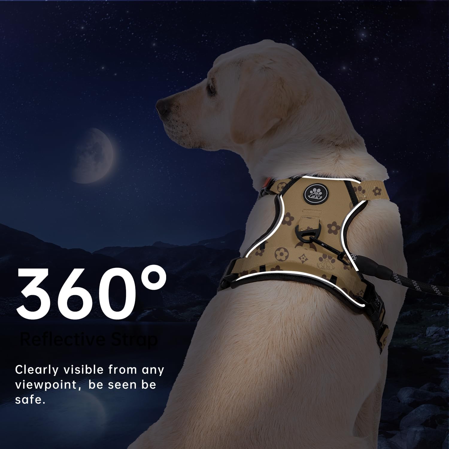 IVY&LANE No Pull Dog Harness with Leash Set, Reflective No Choke Pet Vest,Adjustable Oxford Dog Vest Harness with Easy Control Handle for Small Dogs (Light Brown,S)