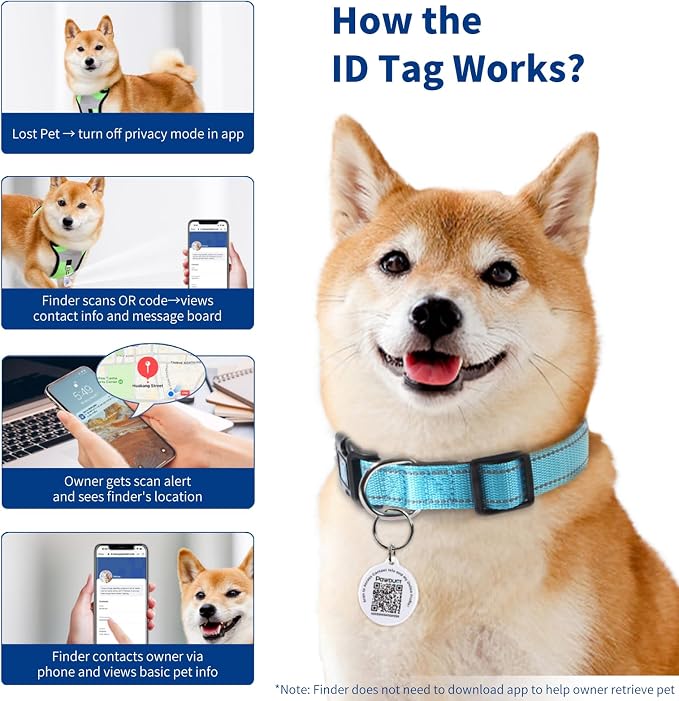 Reflective Dog Collar for Small Dogs - Image 5