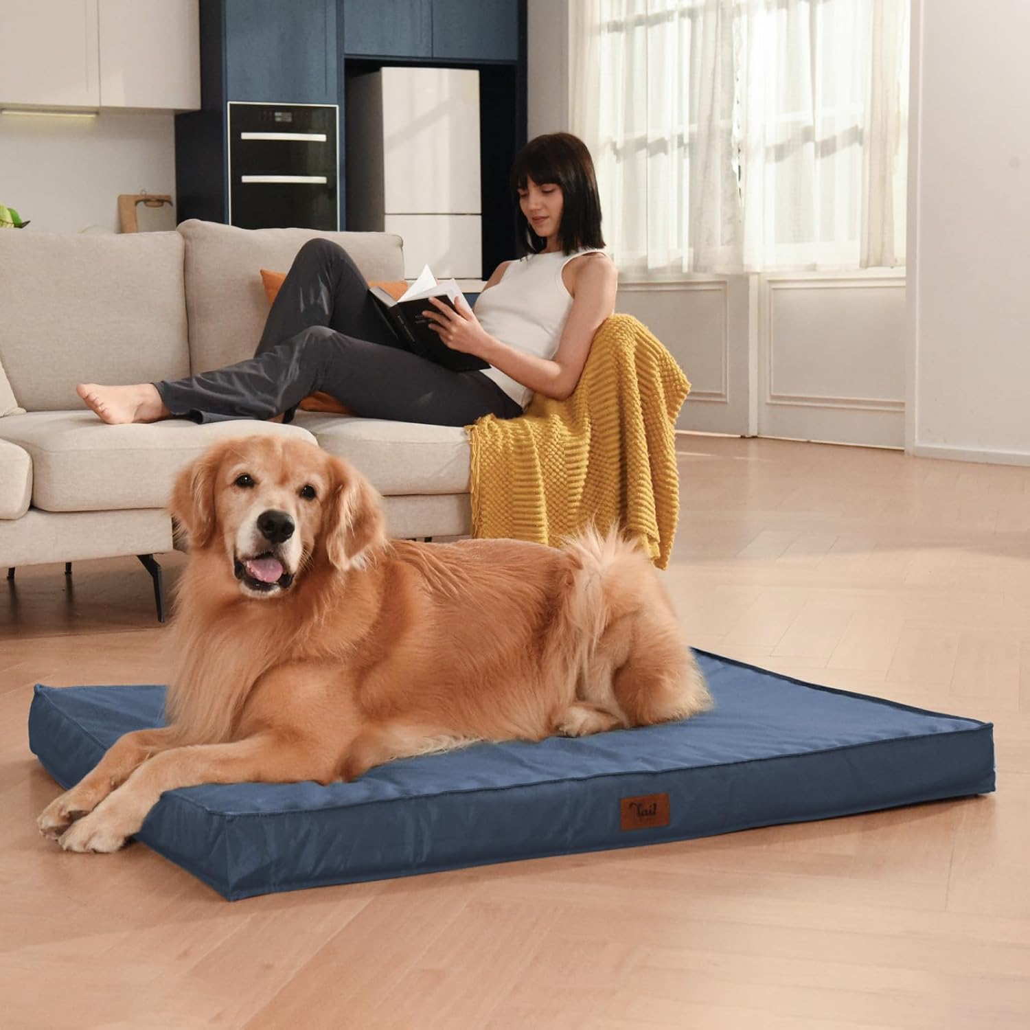 Outdoor Waterproof Dog Bed, Dog Bed for Medium Dogs, Orthopedic Egg Foam Pet Bed with Washable and Removable Oxford Cooling Cover, Navy