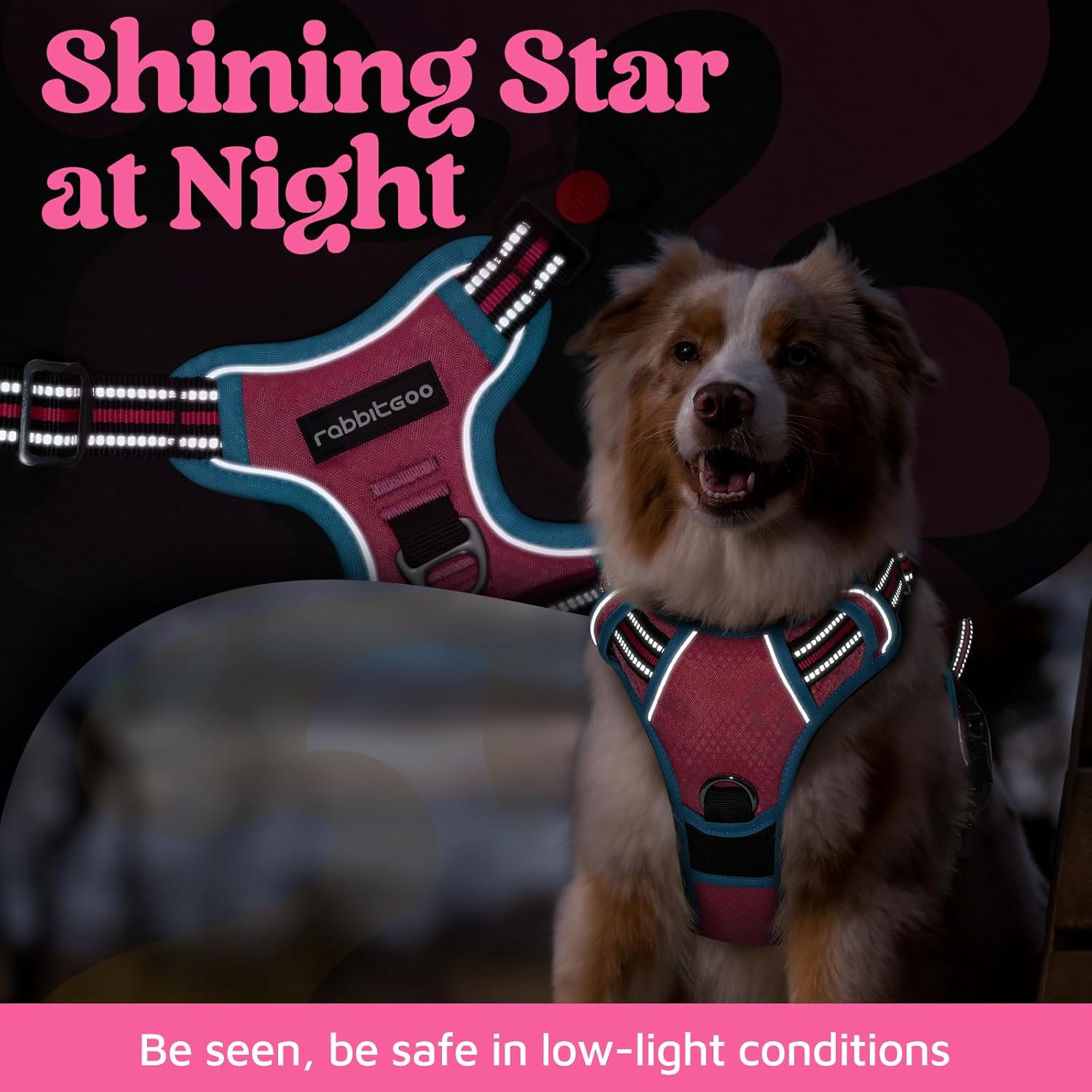 rabbitgoo Dog Harness for Large Dogs, No Pull Pet Vest with 3 Buckles, Adjustable Soft Padded Pet Harness with Easy Control Handle and Reflective Strips, Rose Pink & Blue, L