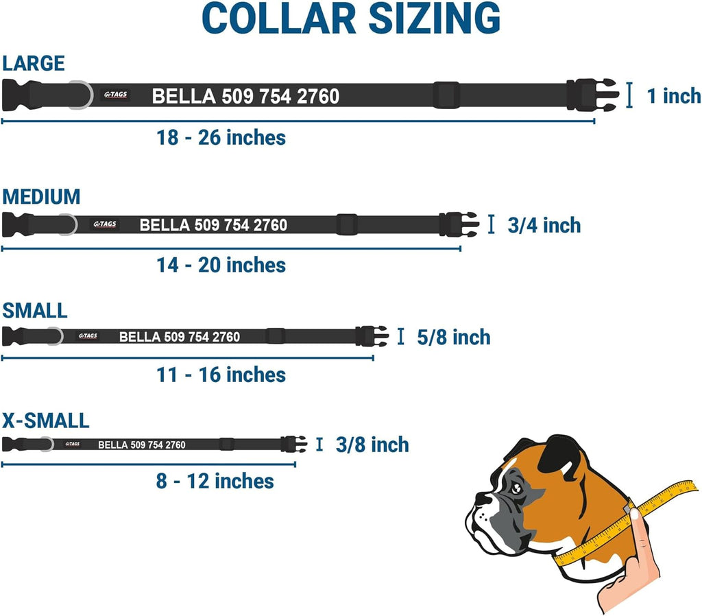 GoTags Reflective Personalized Dog Collar with Nameplate, Adjustable Dog Collar with Custom Engraved Steel Slide On Pet ID Tag, Silent, No Noise Dog Tag for Large Medium or Small (Light Gray, Small)