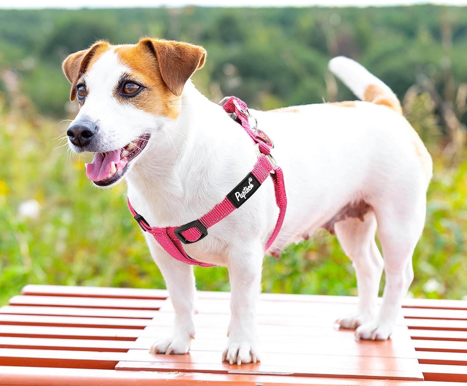PUPTECK No Pull Dog Harness Soft Adjustable Basic Nylon Step in Puppy Vest Outdoor Walking with ID Tag, Reflecive Pink, S