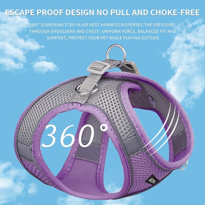 AIITLE No Pull Dog Harness and Leash Set, Step in Adjustable Dog Harness - Image 9