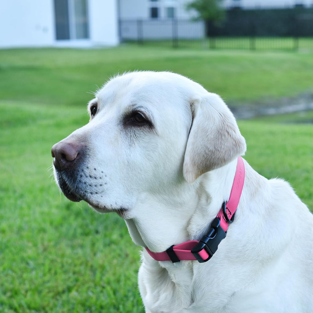 Dogline Biothane Waterproof Dog Collar with Quick Release Buckle Strong Coated Nylon Webbing with Odor- Proof for Easy Care Easy to Clean Fits Small Medium Large Dogs, Pink 5/8" W 9-14" L