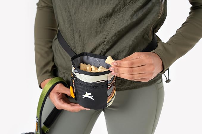 OllyDog, Goodie Treat Bag, Dog Treat Training Pouch | Magnetic Closure | 3 Ways - Image 3