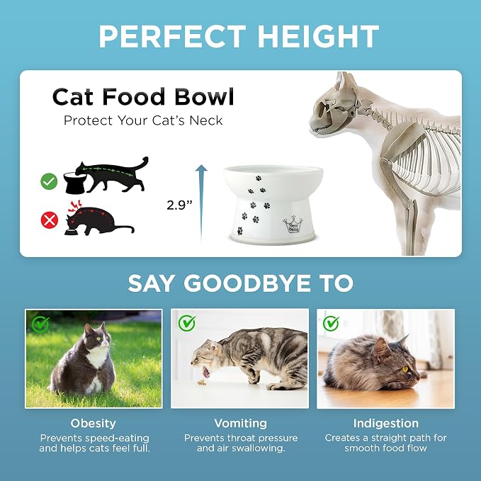 Necoichi Raised Cat Food Bowl – Ceramic Elevated Cat Bowl - Image 7
