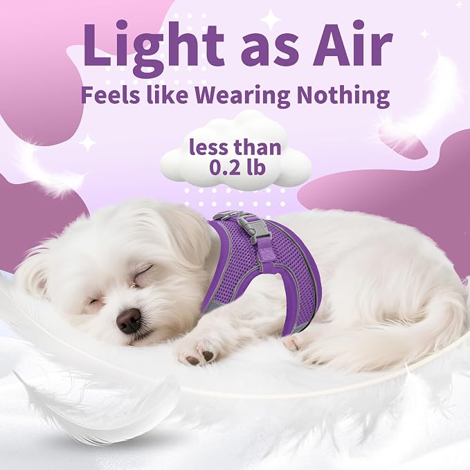 AIITLE Escape Proof Dog Harness - Image 6