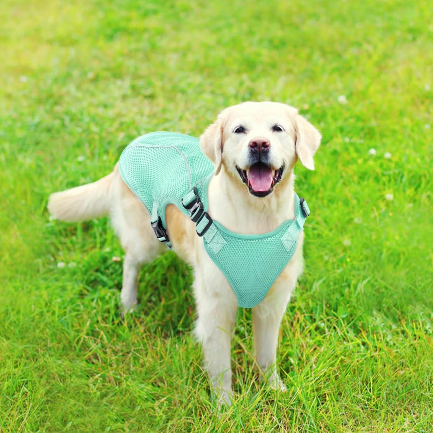 Kuoser Dog Cooling Vest for Large Dogs, Lightweight Doggie Cooler Jacket Breathable Mesh Pet Cooling Shirts Reflective Puppy Cool Harness for Beach, Hiking, Walking Green XXL