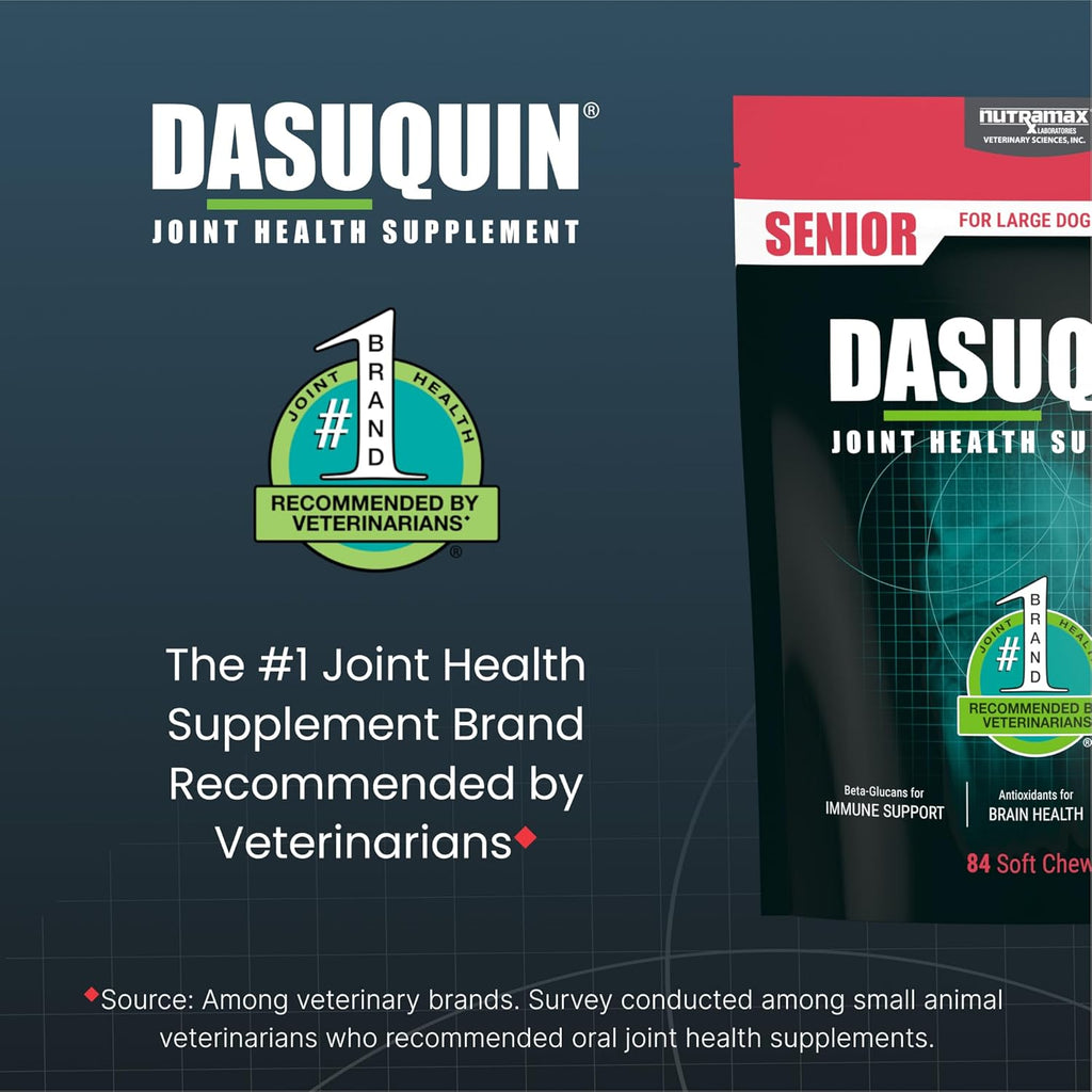 Nutramax Dasuquin Joint Health Supplement for Large Senior Dogs – for Immune Support, Skin & Coat Health, and Brain Health, 84 Soft Chews