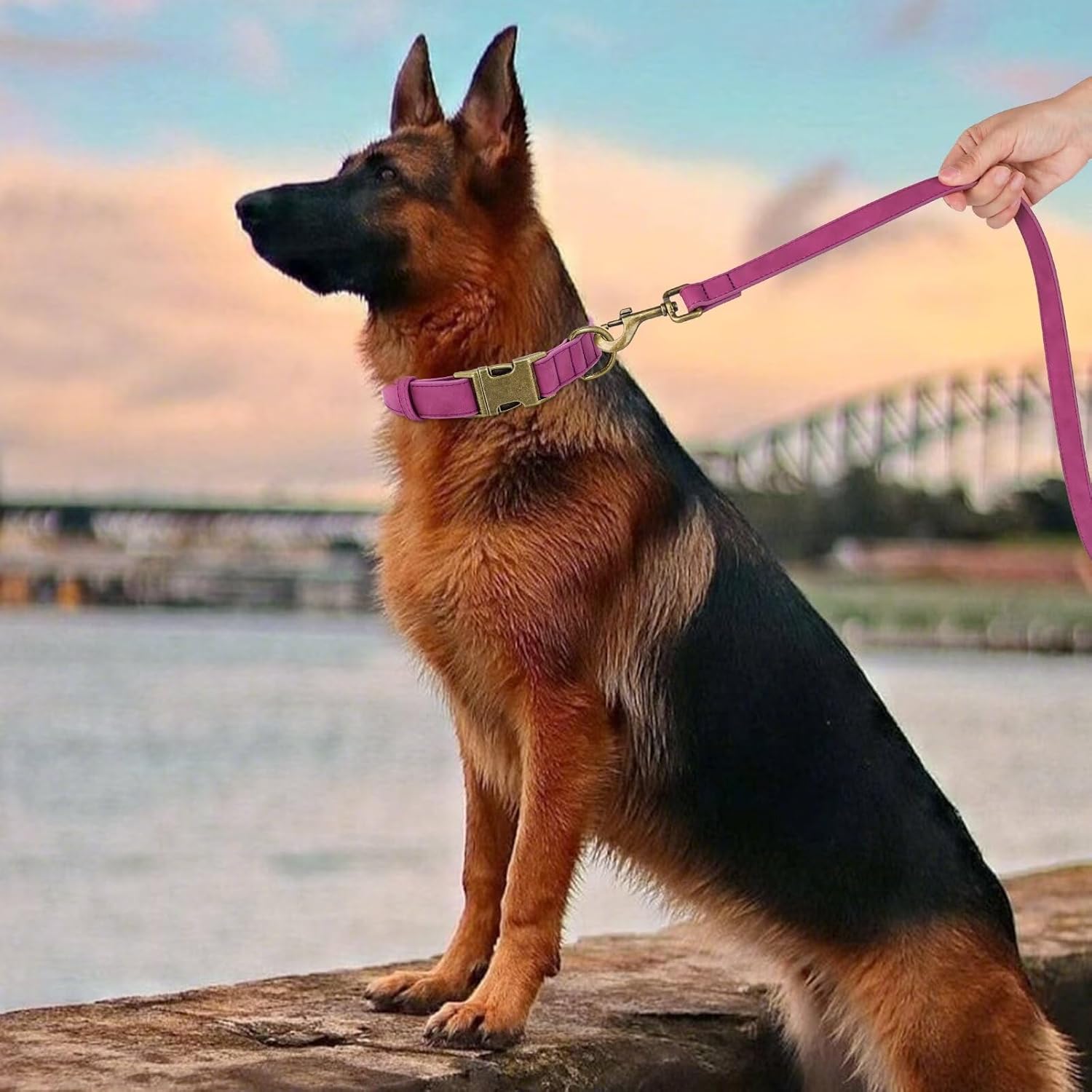 Didog Soft PU Leather Dog Collar, Stylish Quick Released Dog Collars for Large Dogs, Easy Clean Adjustable Pet Collar for Daily Walking, Purple, XL Fit 17-27" Neck