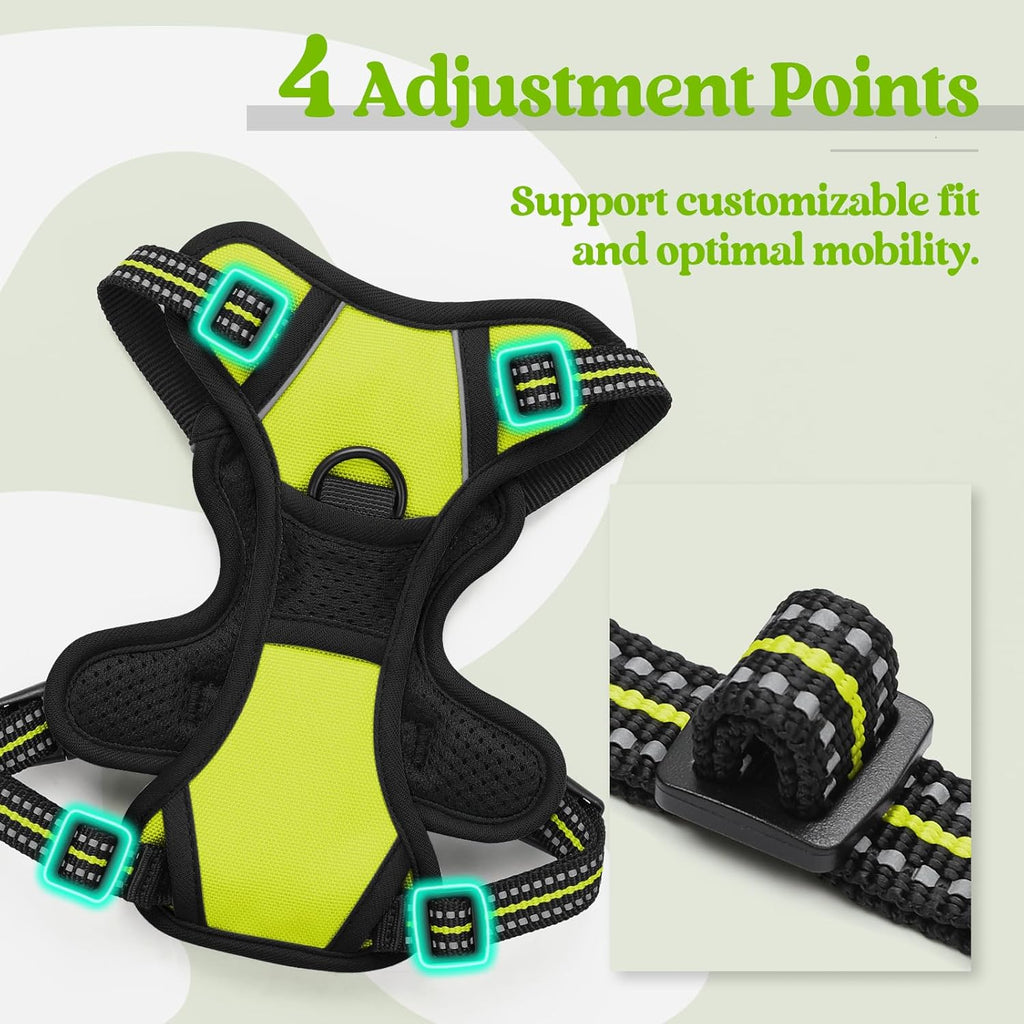 rabbitgoo Dog Harness No Pull with 2 Leash Clips, Adjustable Soft Padded, Reflective Oxford No Choke Pet Vest with Easy Control Handle for Puppy, Green, XS