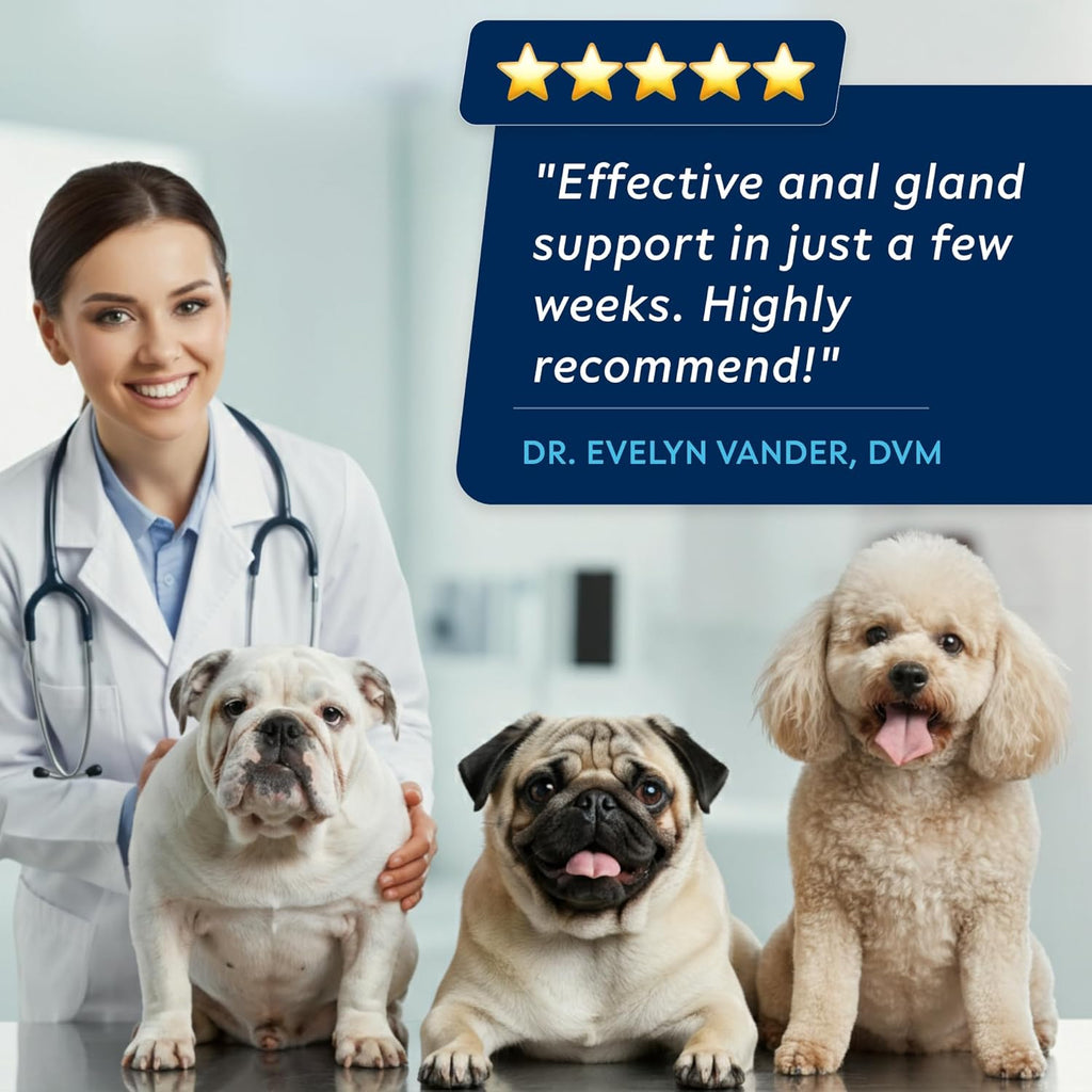 STRELLALAB Anal Gland Support Chews - Scoot Treatment - Digestive Enzymes, Prebiotics & Fiber Supplement for Dogs Digestion & Gut Health. Proprietary Blend of Beet, Psyllium, Dandelion & Pumpkin 120Ct