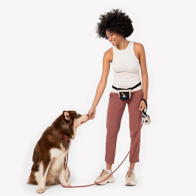 OllyDog, Goodie Treat Bag, Dog Treat Training Pouch | Magnetic Closure | 3 Ways - Image 4
