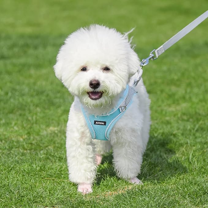 AIITLE Step in Dog Harness and Leash Set - Image 7