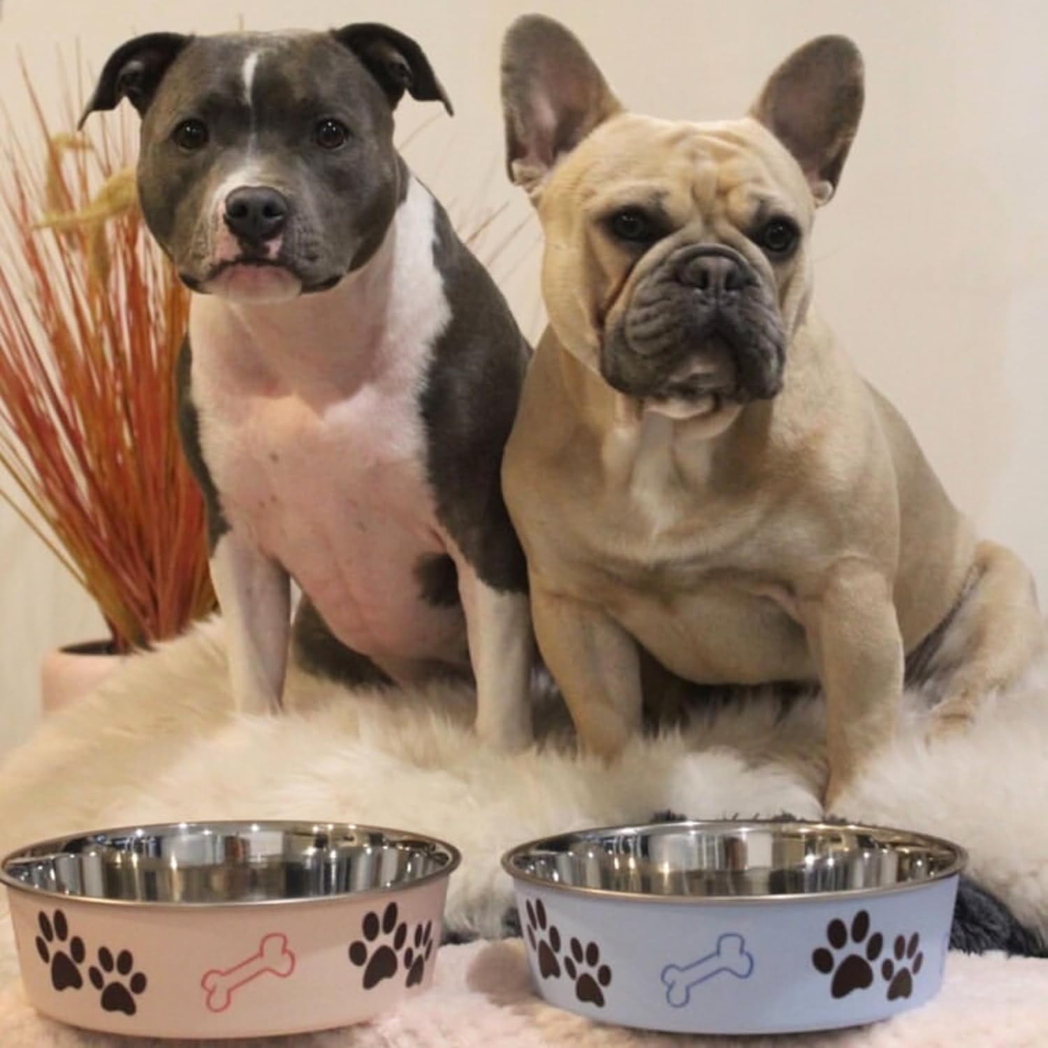 Loving Pets Bella Bowl, Dog Bowl, Extra Large, Murano Blue