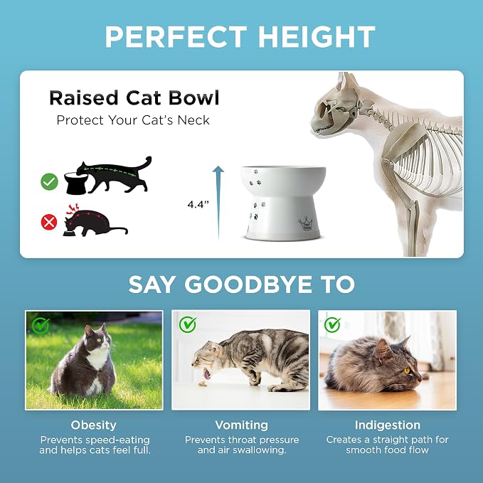 Necoichi Raised Cat Food Bowl – Ceramic Elevated Cat Bowl - Image 7