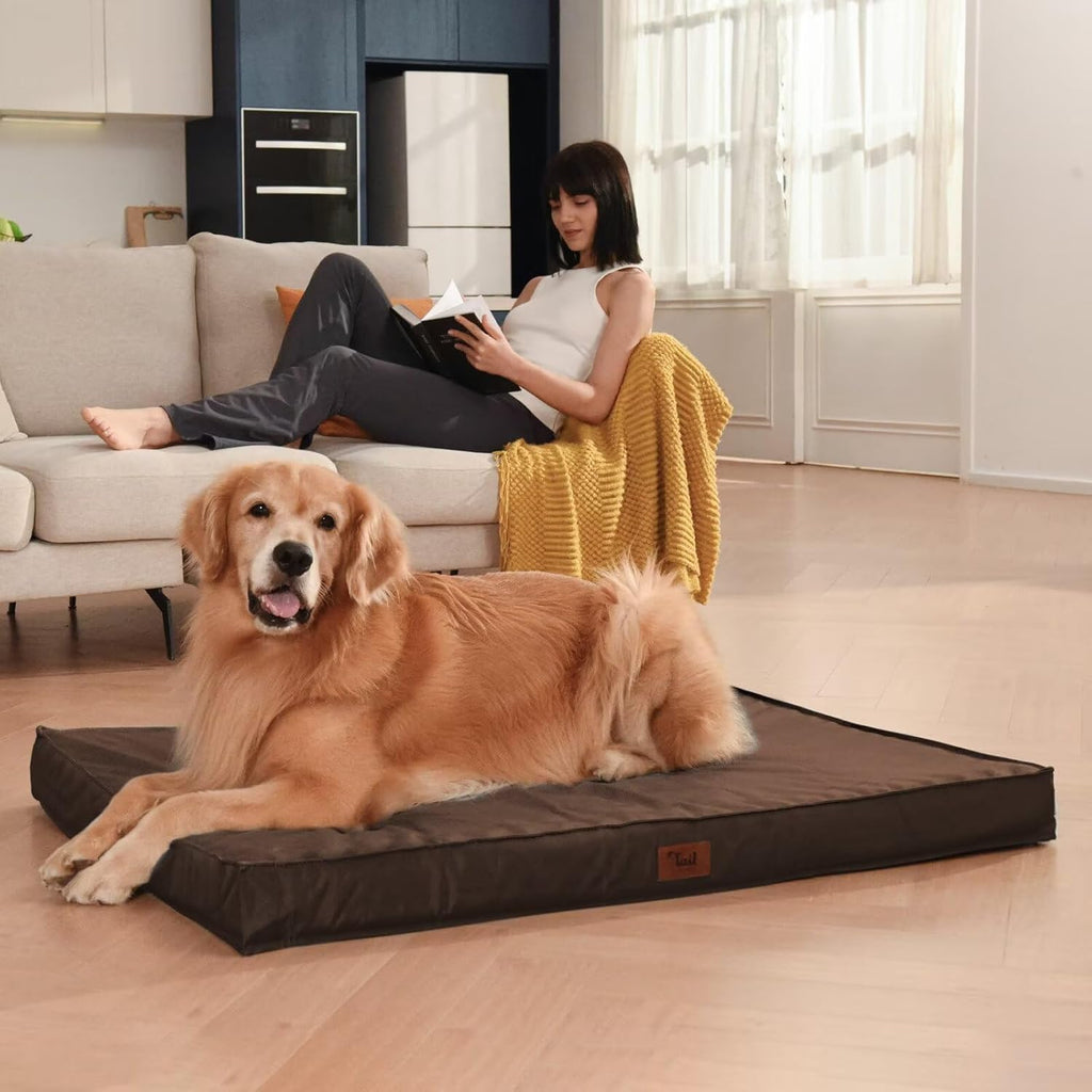 Outdoor Waterproof Dog Bed, Large Dog Bed for Large Size Dogs, Orthopedic Egg Foam Pet Bed with Washable and Removable Oxford Cover, Brown
