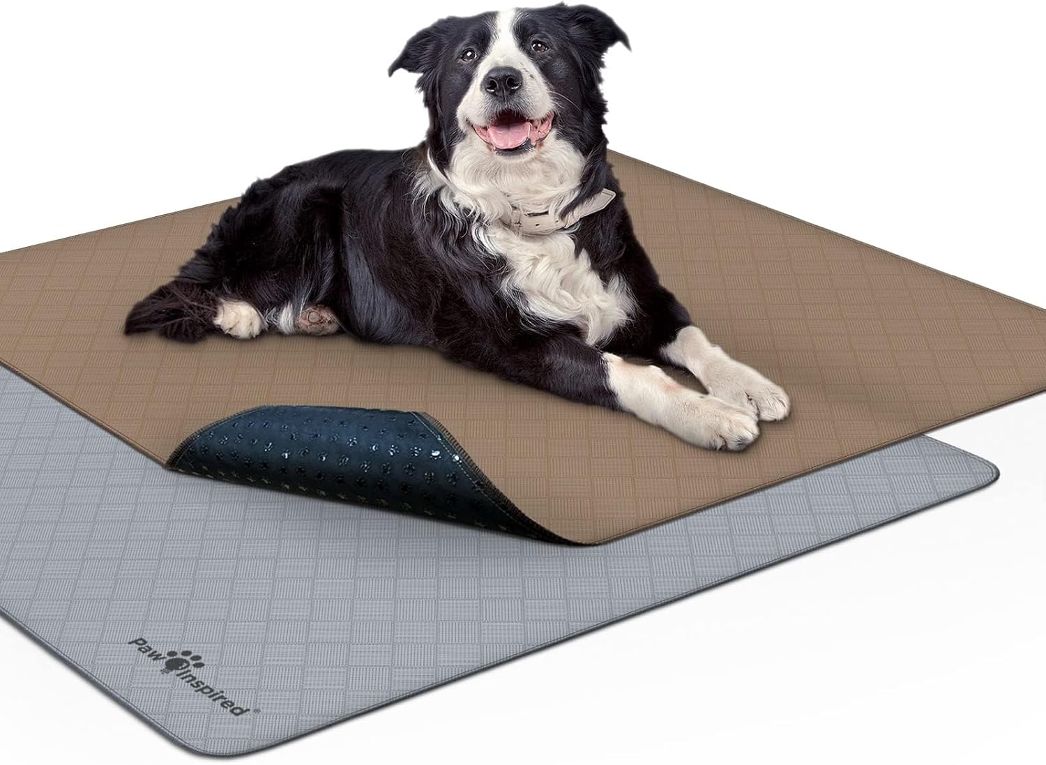 Paw Inspired Washable Pee Pads for Dogs (2 Pack), Leakproof, Non-Slip Reusable Puppy Pads for Potty Training, Whelping, Waterproof Mat (41x41 Inch, Pack of 2)