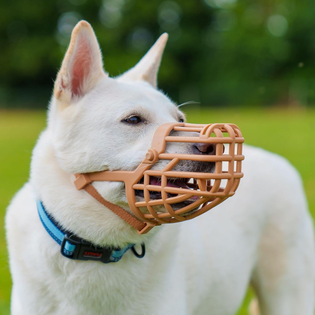Baskerville Classic Basket Muzzle - Dog can Pant and Drink, Prevents Biting and Food Waste Scavenging, Strong TPR, Ideal for Longer Nosed Dogs, Breathable Dog Training Muzzle for Small Dogs (Size 1)