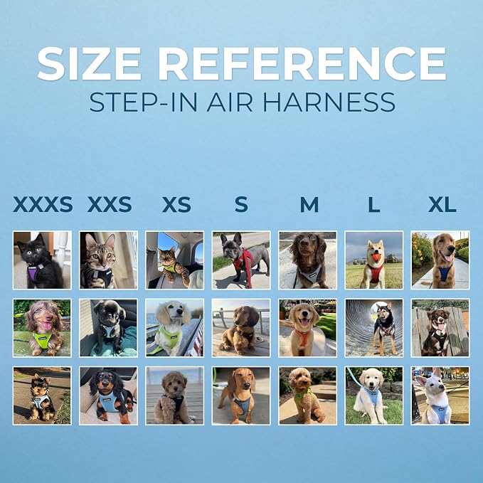 Voyager Step-in Air Dog Harness - Image 7