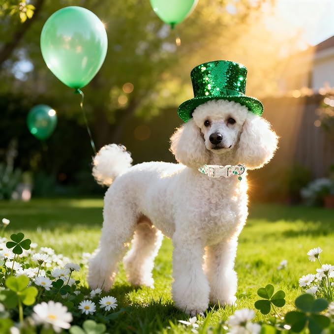 St. Patrick's Day Dog Collar for Small Dogs - Image 2