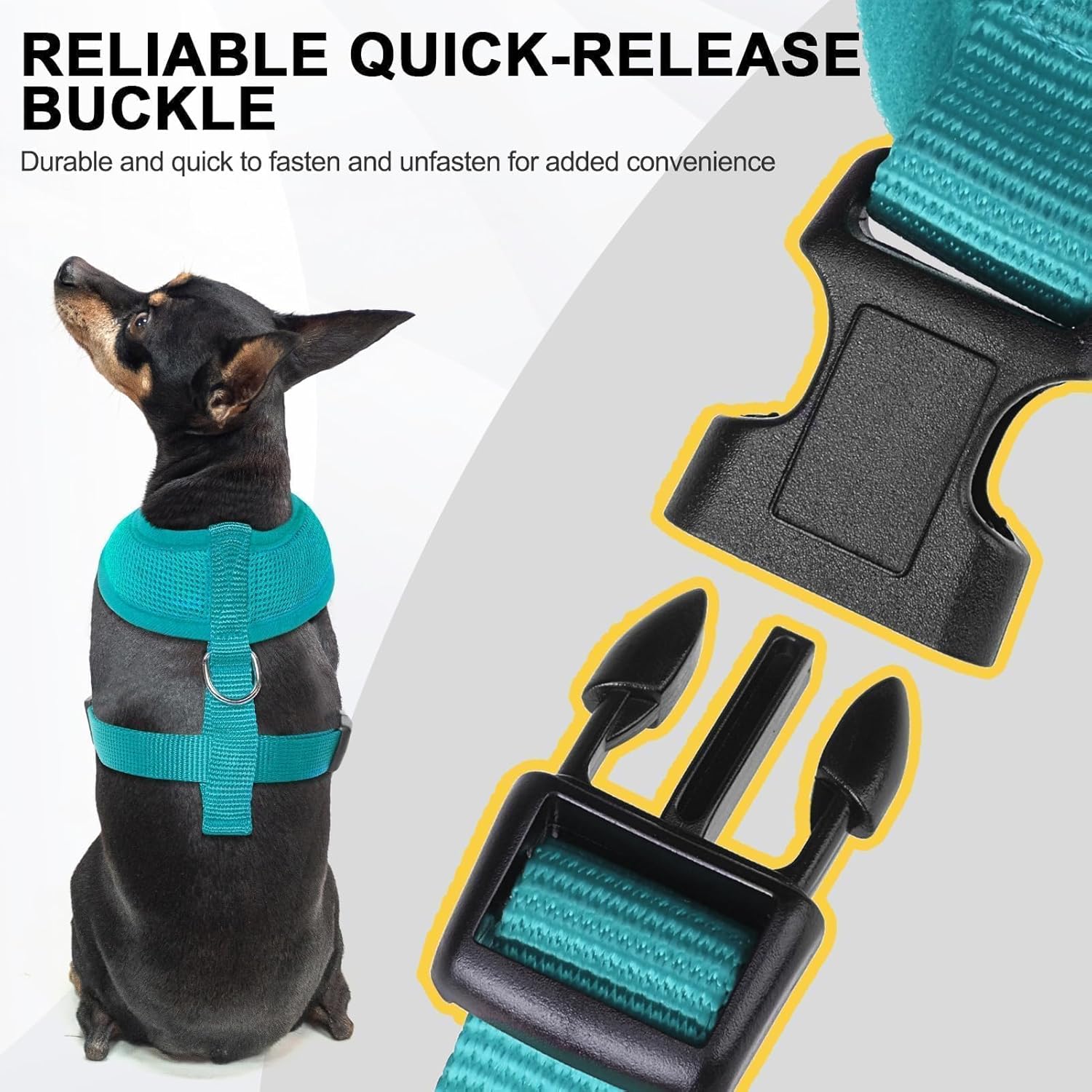 BINGPET Small Dog Harness - Breathable Mesh Puppy Cat Harnesses - No Pull Adjustable Dog Harness Dog Vest Harness for Small and Medium Dogs