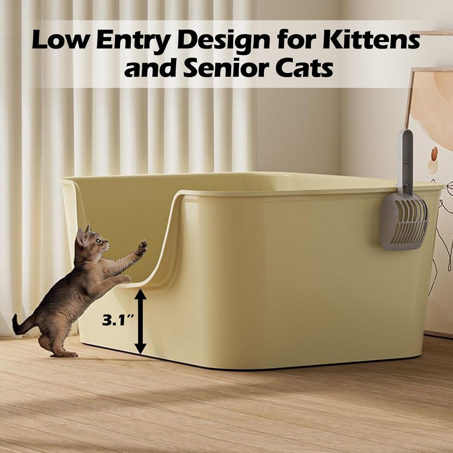 Small Cat Litter Box with High Sides,Cat Boxes for Indoor Cats,Cat Litter Pan for Kitty,Litter Box with Low Entry,Easy to Clean,Anti-Splashing (Green)
