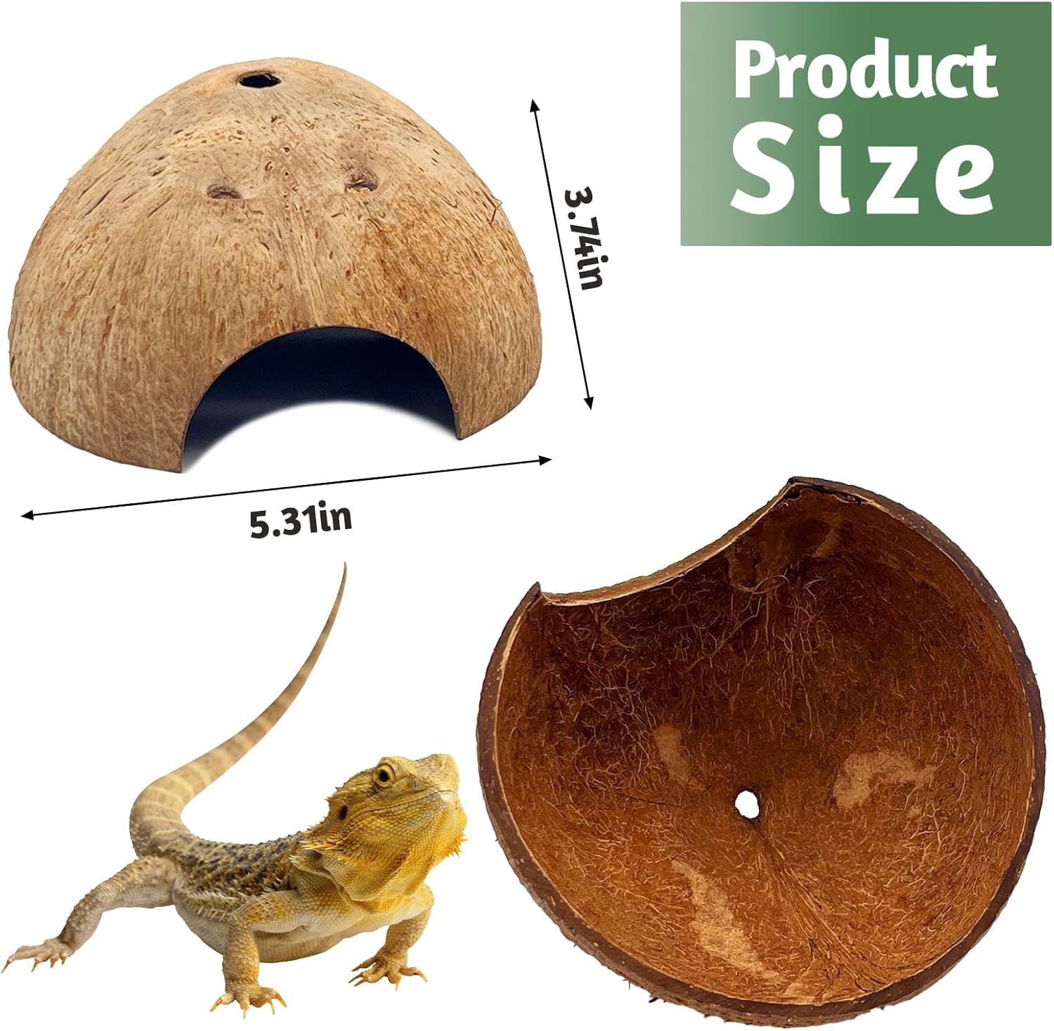 PINVNBY 6 PCS Natural Coconut Reptile Hideouts Lizard, Coco Hut Hermit Crab Hut Aquarium Fish Hide Cave for Small Reptile Crested Gecko Leopard Gecko Spider Snail Climber Toys