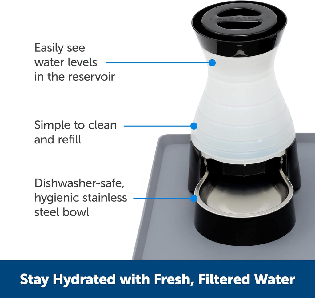 PetSafe Healthy Pet Water Station - Small, 64 oz Capacity - Gravity Pet Water Fountain, Automatic Cat Water Fountain, Dog Water Fountain, Water Dispenser - Removable Stainless Steel Bowl Included