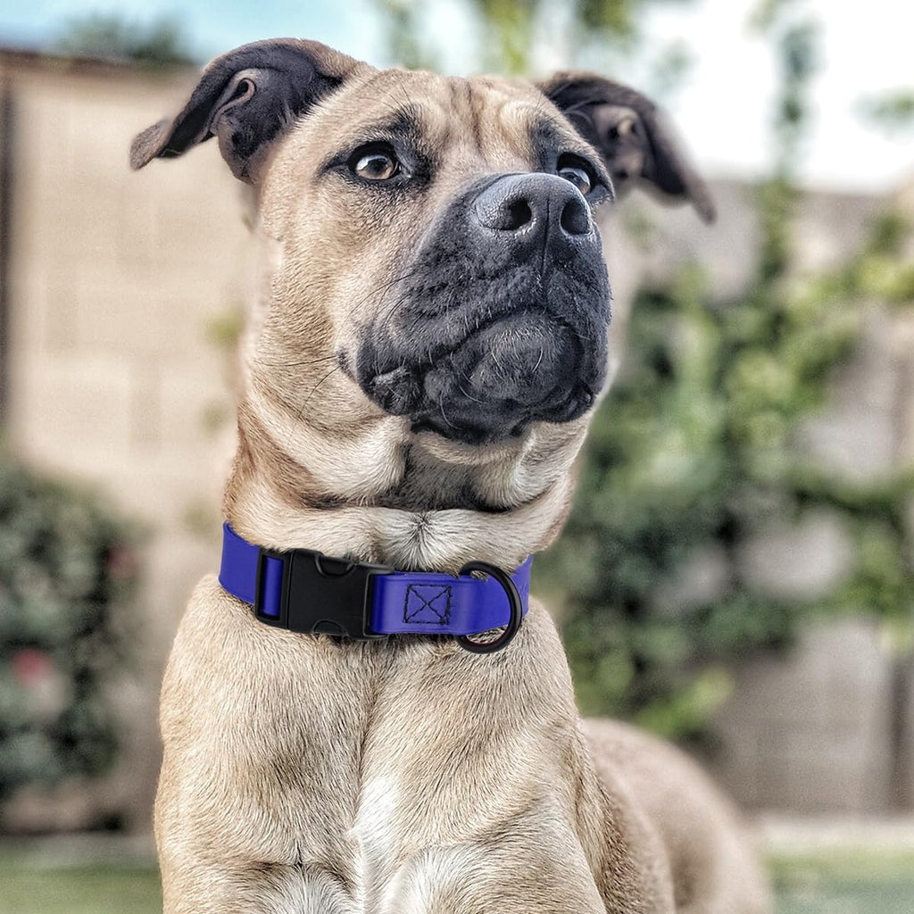 Dogline Biothane Waterproof Dog Collar with Quick Release Buckle Strong Coated Nylon Webbing with Odor- Proof for Easy Care Easy to Clean Fits Small Medium or Large Dogs, Royal Blue 1" W 15-23" L