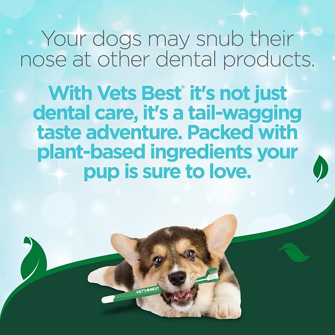 Vet's Best Enzymatic Dog Toothpaste - Image 4