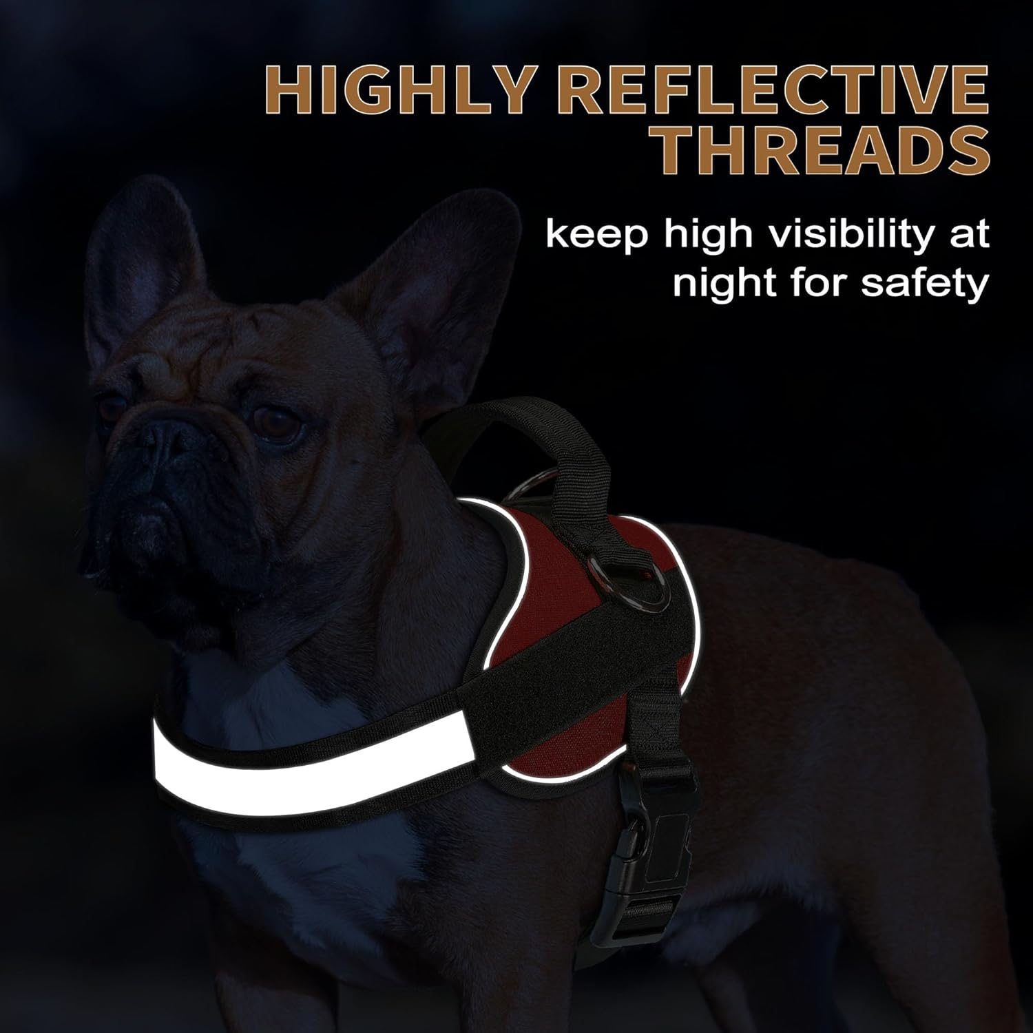 Haapaw Essential Dog Harness, No Pull Pet Vest with 3 Leash Clips, No Choke, Reflective, Adjustable and Padded, for Easy Walking and Training for Medium Dogs(M, Red)