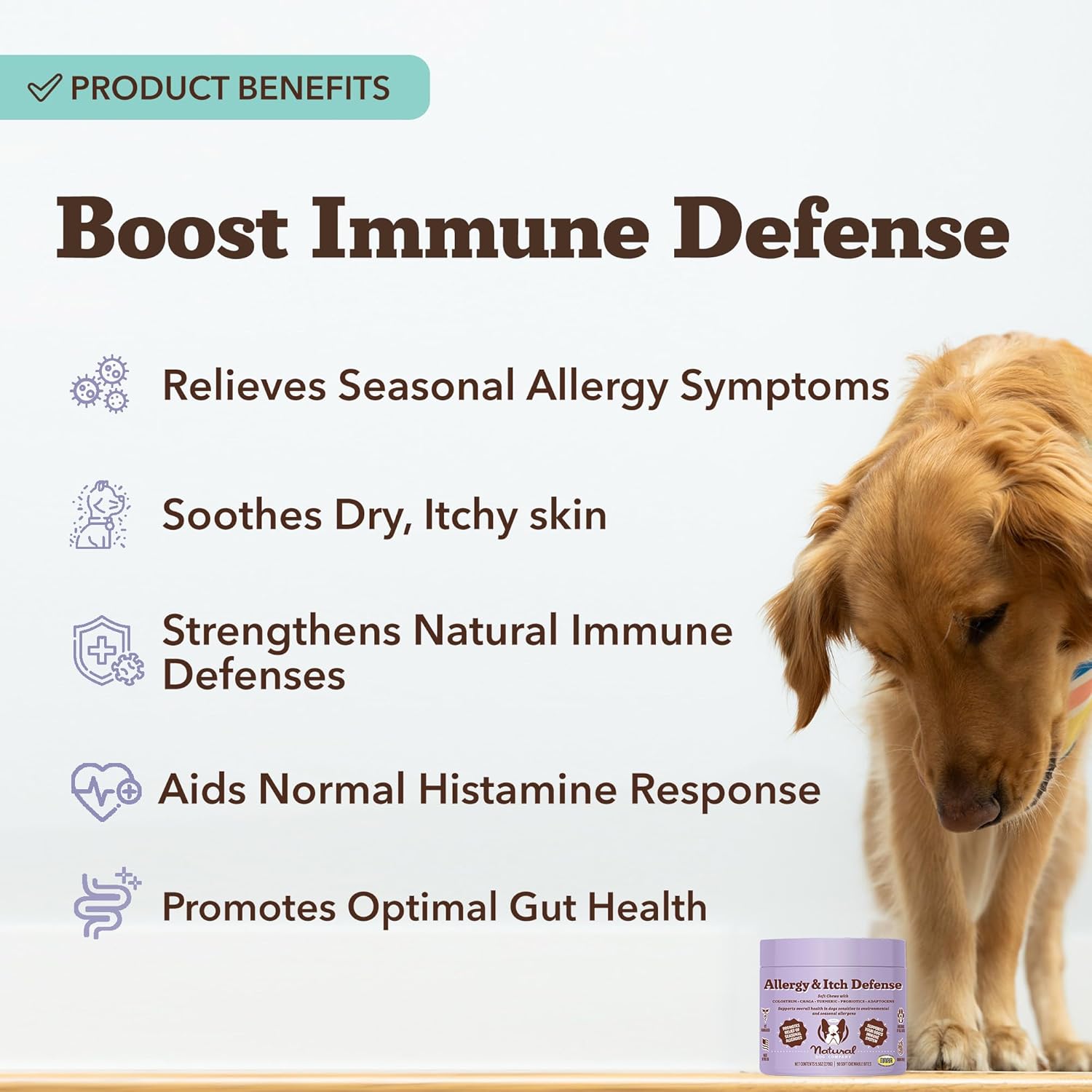 Natural Dog Company Allergy & Itch Defense Chews – Allergy Support for Dogs, Itch Relief, Skin, Coat & Gut Health with Probiotics, Colostrum & Salmon Oil, Grain-Free Dog Supplement, 90 ct