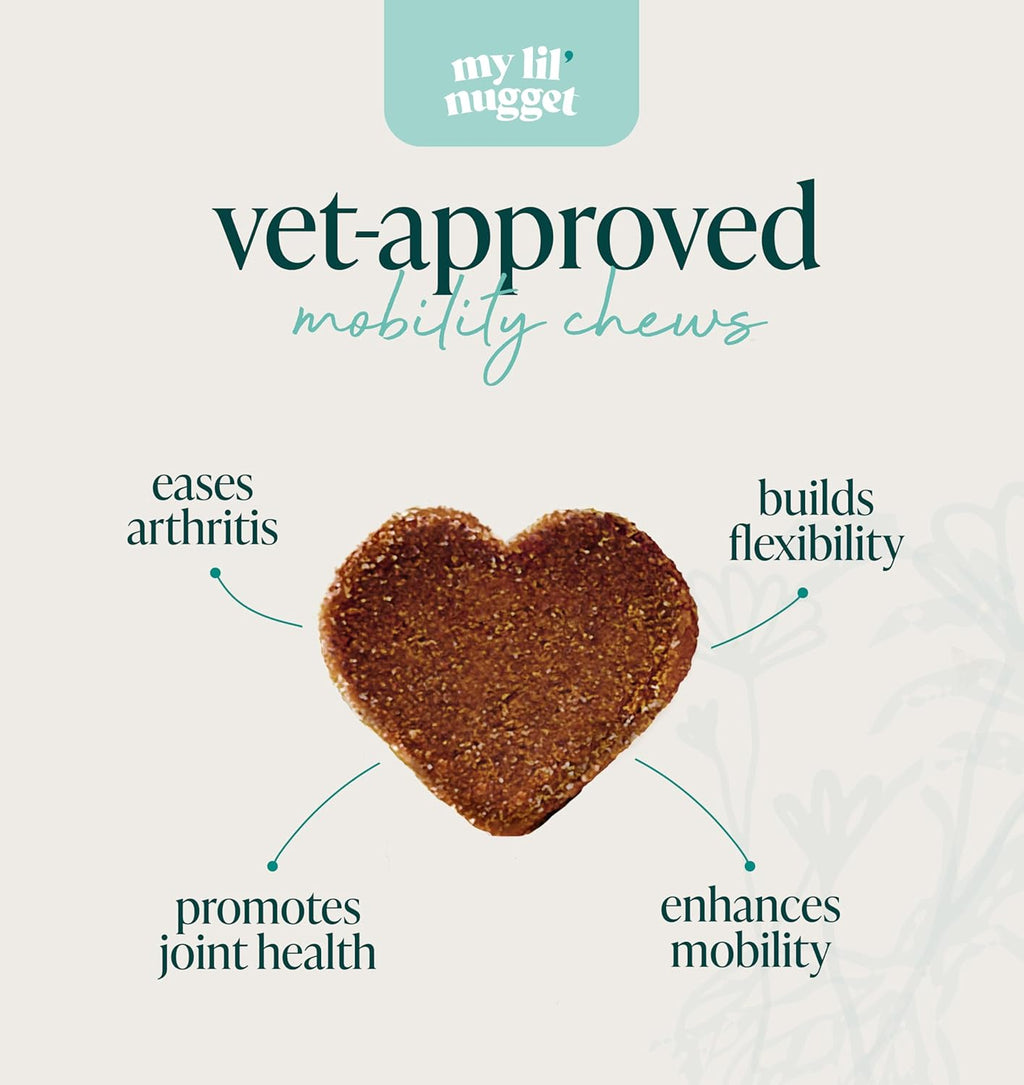 My Lil’ Nugget – Dog Calming & Mobility Support Bundle | Calming Chews for Dogs with DHA & Lion’s Mane | Hip & Joint Supplement with Glucosamine & Hemp | Anxiety Relief & Joint Health – 2 Pack
