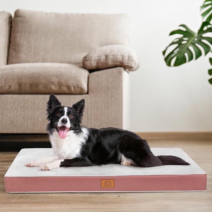 Sunheir Orthopedic Dog Beds for Small Dogs, Waterproof Puppy Bed by SUNHEIR