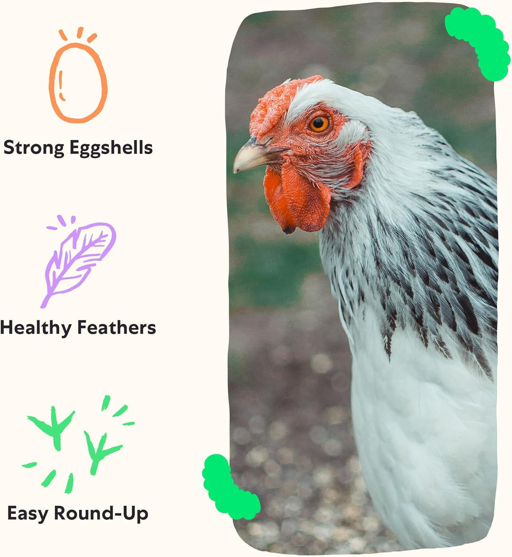 Grubblies - Switch from World Harvest to Hometown Harvest for Premium Chicken Nutrition - Grubblies World Harvest 5LB