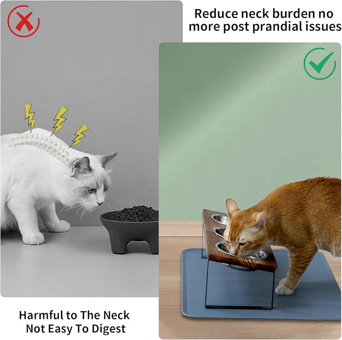 Upgraded Elevated Cat Bowls - Image 2