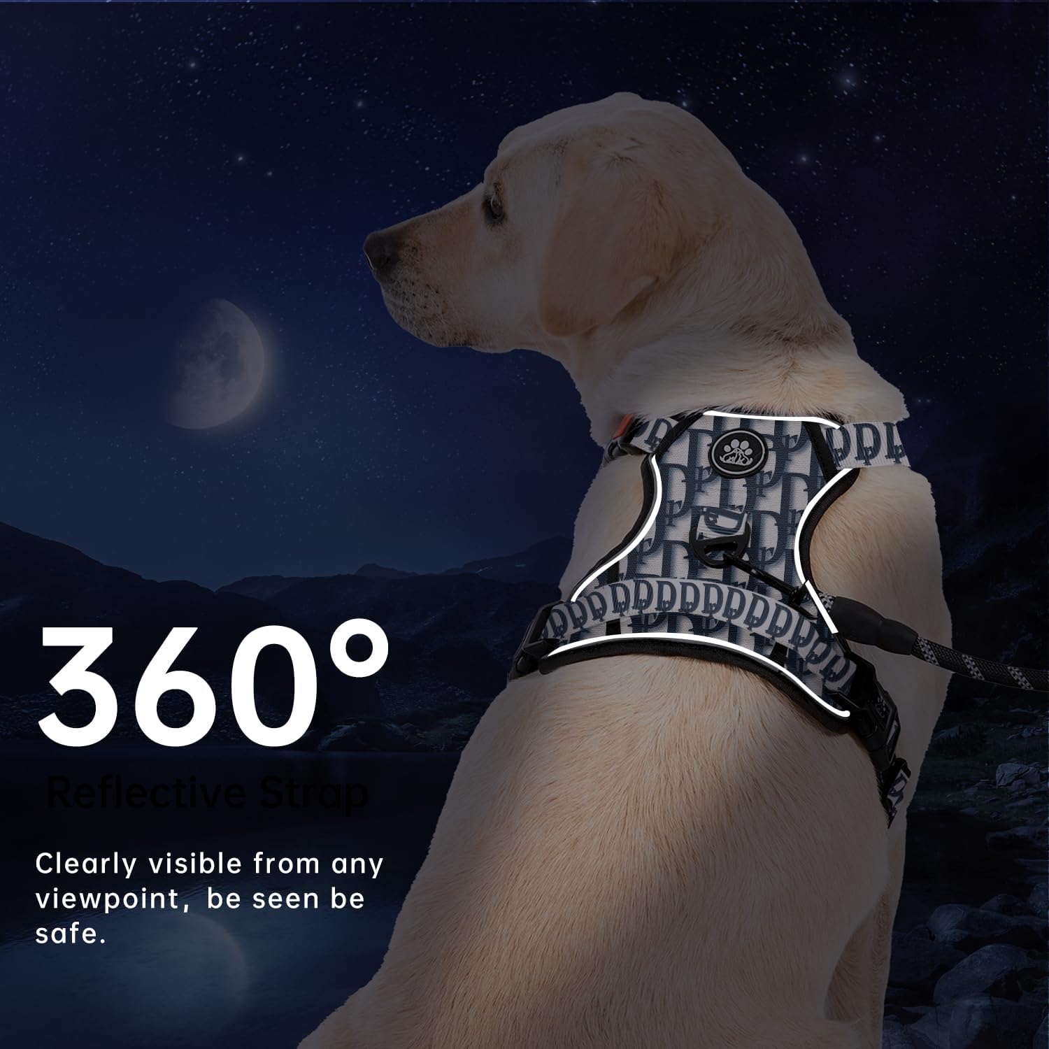 IVY&LANE No Pull Dog Harness with Leash Set, Reflective No Choke Pet Vest,Adjustable Oxford Dog Vest Harness with Easy Control Handle for Medium Dogs (Vintage Blue,M)