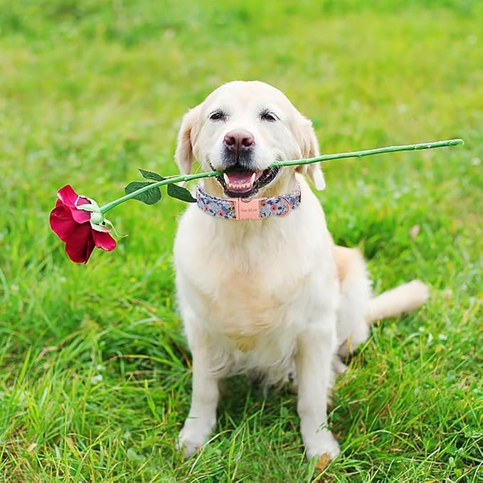 Unique style paws Dog Collar Metal Buckle Red Rose Puppy Collar Flower Gift - Image 5
