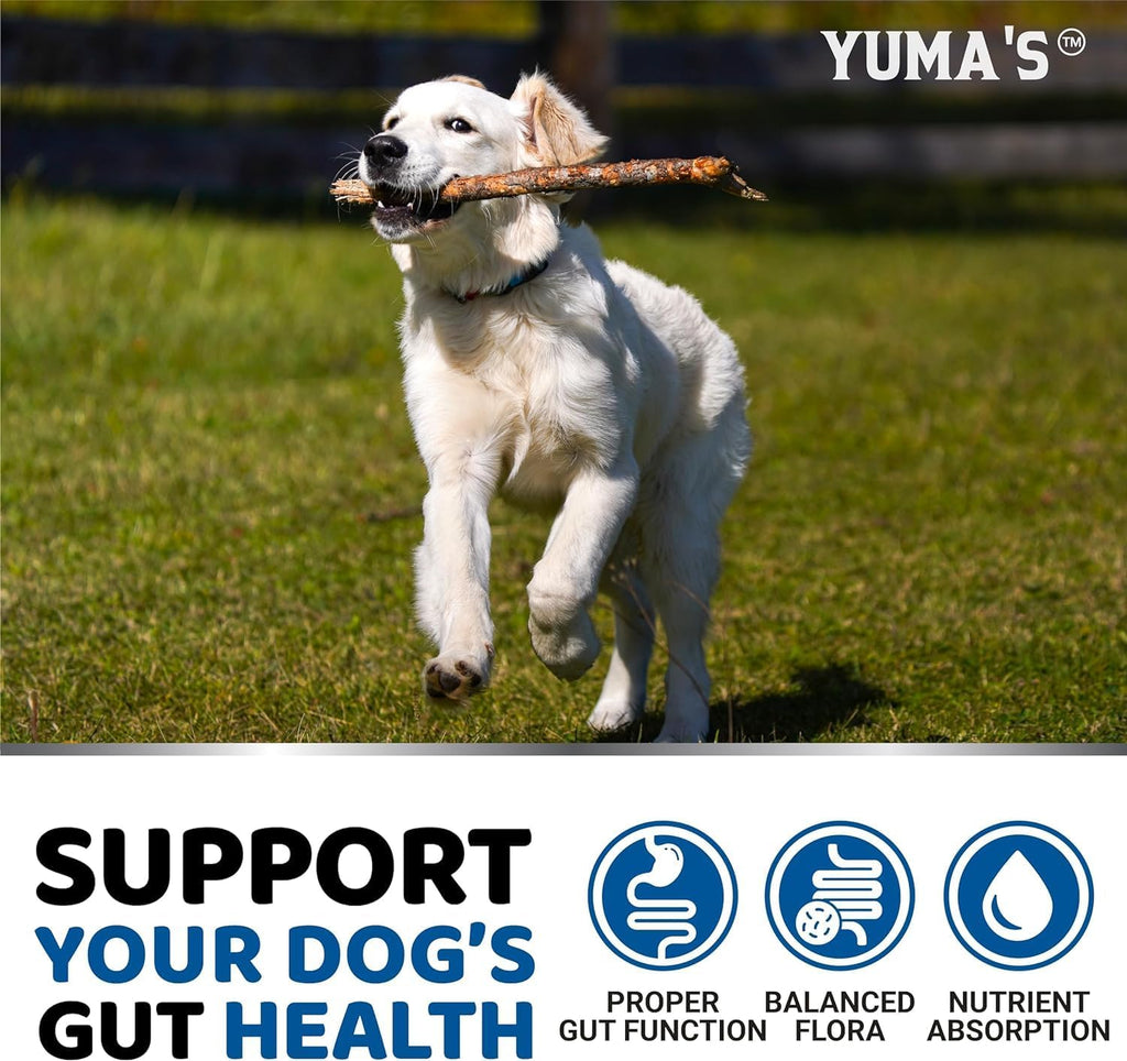 YUMA'S 2 Pack Probiotics for Dogs and Digestive Enzymes - Dog Probiotics Chews - Dog Probiotic - Anti Diarrhea, Upset Stomach & Gas Relief, Constipation, Canine Prebiotic - Pet Fiber Supplement