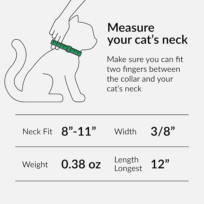 CollarDirect Leather Cat Collar, Kitten Collar - Image 7
