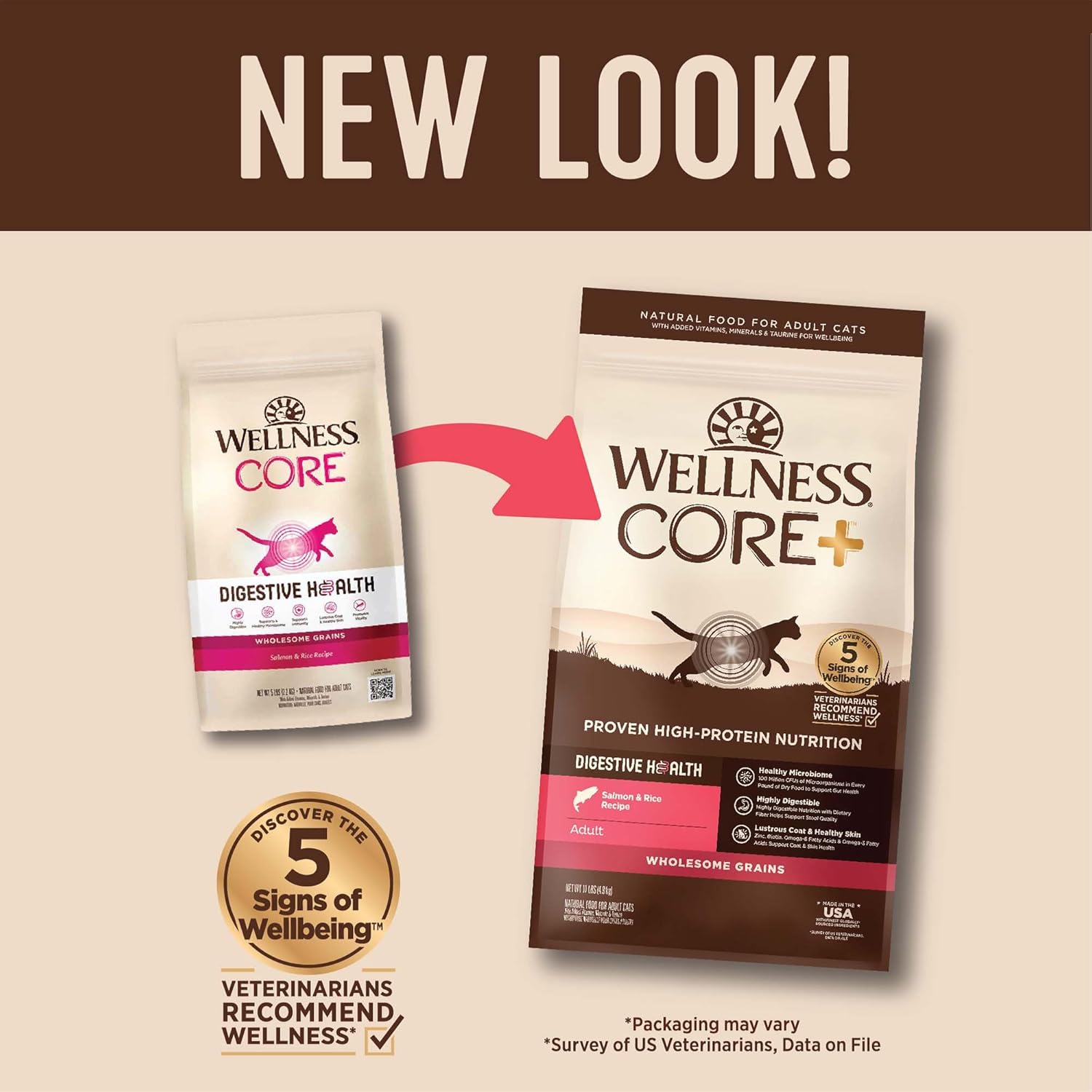 Wellness CORE+ Adult Dry Cat Food for Indoor and Outdoor Cats, Wholesome Grains, Natural, Digestive Health Salmon & Rice (11 Pound Bag)